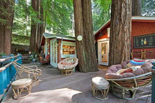 Mt. Hermon Treehouse – Photos 3