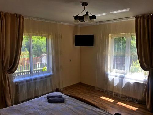 a bedroom with a bed and two windows and a television at N V New View in Yaremche