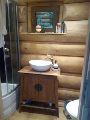a bathroom with a sink and a toilet and a shower at Jugowskie Chatki in Jugów