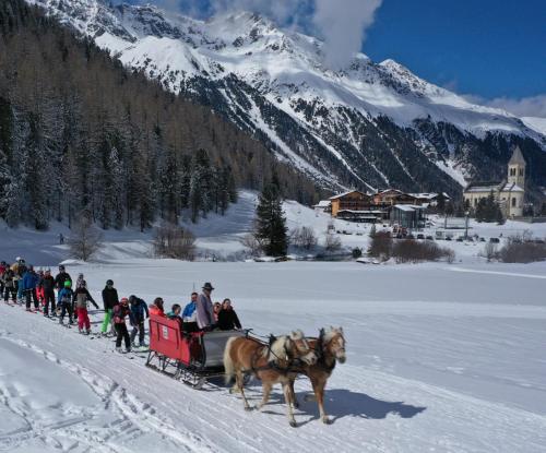 a group of people riding in a horse drawn carriage in the snow at Haus Thoma in Stelvio