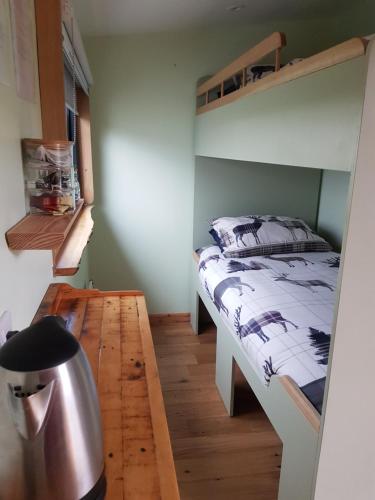 a bedroom with a bunk bed and a wooden floor at Creaggan Ard Guest House in Kyle of Lochalsh