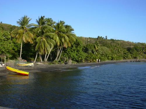 a yellow boat on the shore of a beach with palm trees at Tamarind Tree Hotel in Salisbury