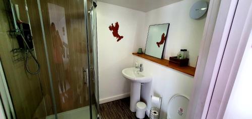 a bathroom with a toilet and a sink and a shower at Portree Garden Room in Portree