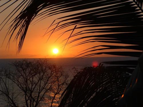 a sunset seen through the leaves of a palm tree at Tamarind Tree Hotel in Salisbury