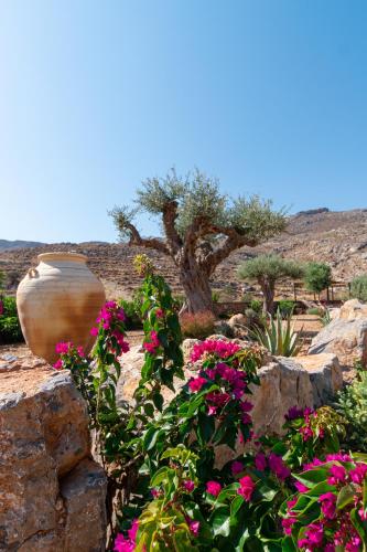 a garden with pink flowers and a large vase at Yiannis Retreat in Káto Zákros