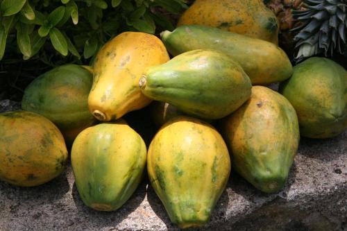 a pile of green and yellow pears on a rock at White Sands Negril in Negril