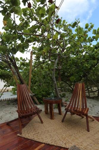 two wooden chairs sitting next to a tree at Glamp Ikal Tulum in Tulum