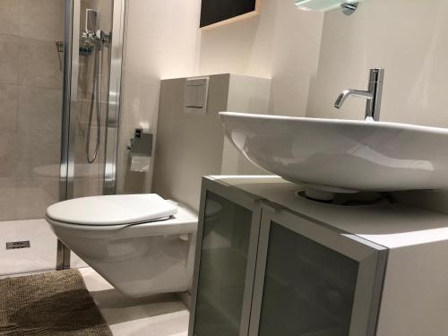 La salle de bains est pourvue d'un lavabo et de toilettes. dans l'établissement Amazing Studio In Lausanne Close To Epfl Unil, à Ecublens