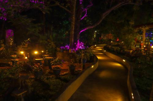 a garden with plants and lights at night at Levona Garden Resort in Habarana