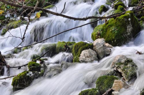 a stream of water rushing over rocks and moss at Apartma pr´ Štengarju in Bohinjska Bela