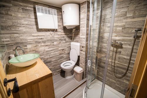La salle de bains est pourvue de toilettes, d'un lavabo et d'une douche. dans l'établissement Apartments Zvoh, Krvavec, Ski-in, Ski-out, à Cerklje na Gorenjskem