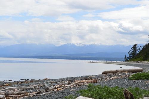 a view of a lake with mountains in the background at Estuary House Reflexology B&B in Courtenay