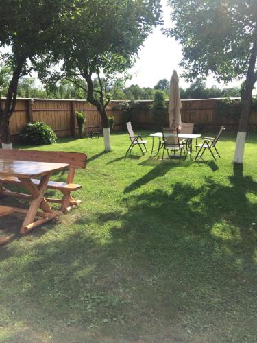a picnic table and chairs with an umbrella in a yard at Pensiunea Bujor de Munte in Cîrţişoara