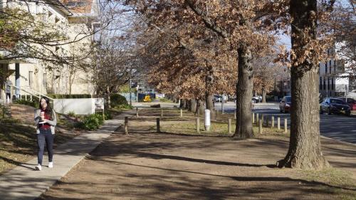 Gallery image of Location Plus Dowling in Canberra