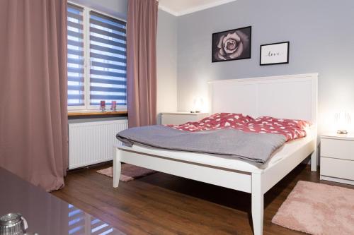 - une chambre avec un lit et une fenêtre dans l'établissement Apartament Studzienna 18, à Szczecin