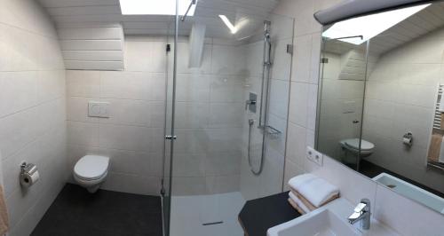 a bathroom with a shower and a toilet and a sink at Landhaus Scherl in Seefeld in Tirol