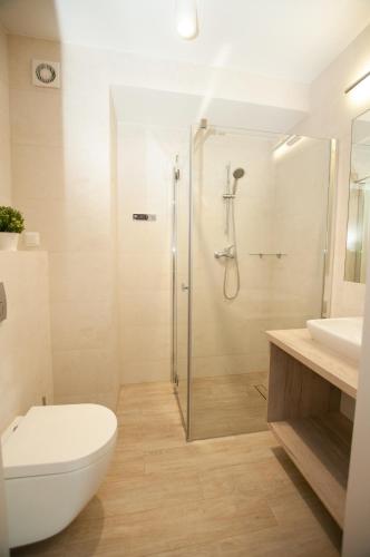 a bathroom with a shower and a toilet and a sink at Domki Amber House in Dźwirzyno