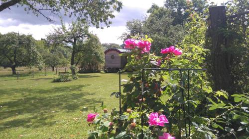 Taman di luar Roulotte le temps de rever
