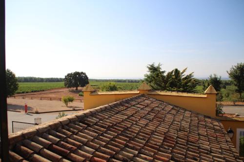 a roof of a building with a field in the background at Hotel rural Entreviñas in Caudete de las Fuentes