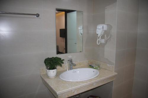 lavabo con espejo y maceta en SUN HOTEL & APARTMENT, en Bắc Ninh