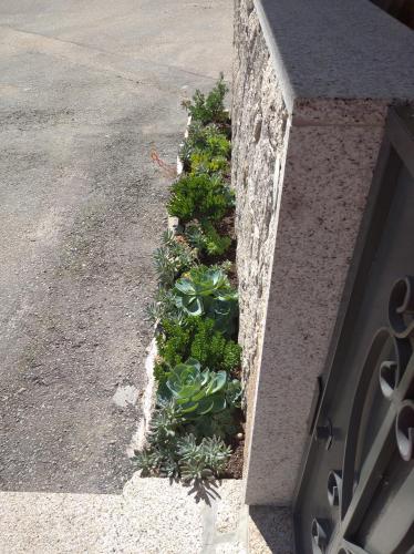 a garden with plants on the side of a street at Casa Morgado in Braga