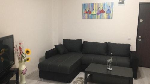 Gallery image of Eric Apartament’s Suite in Şelimbăr