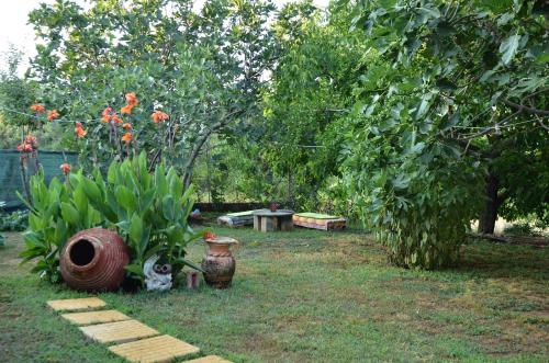 Imagen de la galería de Doloi garden house, en Málta