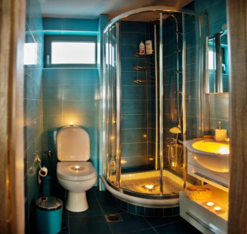 a bathroom with a toilet and a shower and a sink at Villa Horizon in Skouloúfia
