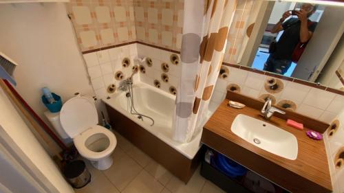 ein Badezimmer mit einem Waschbecken, einem WC und einem Spiegel in der Unterkunft La Colombe à Villard in Villard-de-Lans