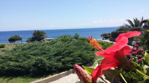 Φυσικό τοπίο κοντά σε αυτό το διαμέρισμα