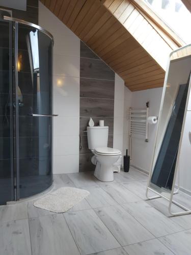 a bathroom with a toilet and a glass shower at Willa Ela in Gdańsk