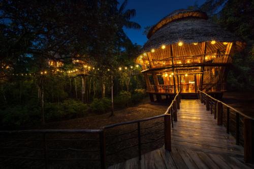 Gallery image of Treehouse Lodge in Yucuruche