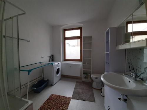 a bathroom with a sink and a washing machine at Wohnen in 09599 Freiberg, Buchstraße 14 in Freiberg