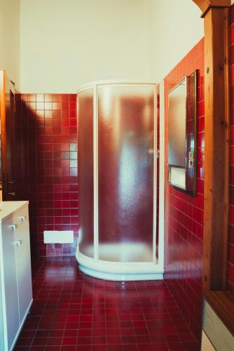a bathroom with a shower with red tiles at Az. Agr. Tenuta La Casetta in Mama