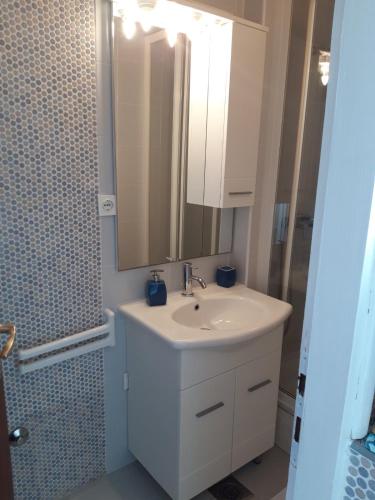 a bathroom with a white sink and a mirror at Apartment Jadranka in Malinska