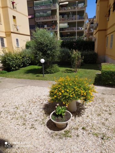een pot bloemen op een binnenplaats met een gebouw bij Casa MiaMia per vacanza, viaggi di lavoro e smartworking in Lido di Ostia