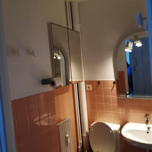 une salle de bain avec toilettes, lavabo et miroir dans l'établissement LE PHENIX à internet haut débit & parking, à Dijon