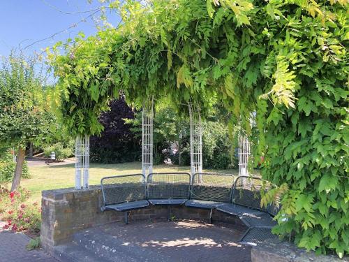 a swing in a park with a bunch of leaves at Ferienhaus Moselpromenade in Zell an der Mosel