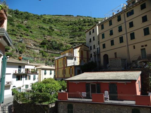 uma vista para uma cidade com edifícios e uma montanha em IRMA Colua Manarola em Manarola