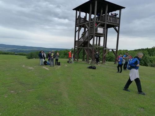 a group of people standing around a tower in a field at Ruralna kuća za odmor Viktorija in Čaglin