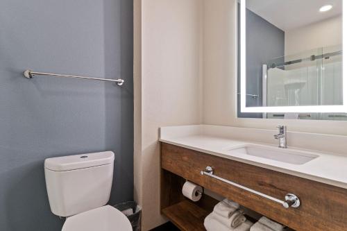 a bathroom with a toilet and a sink and a mirror at Extended Stay America Premier Suites - Port Charlotte - I-75 in Port Charlotte