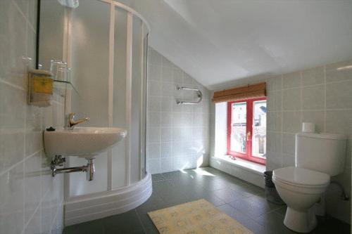 baño con aseo y lavabo y ventana en Raibie Logi, en Ventspils