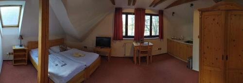 a bedroom with a bed and a sink and a television at Radegastova chalupa in Frýdek-Místek