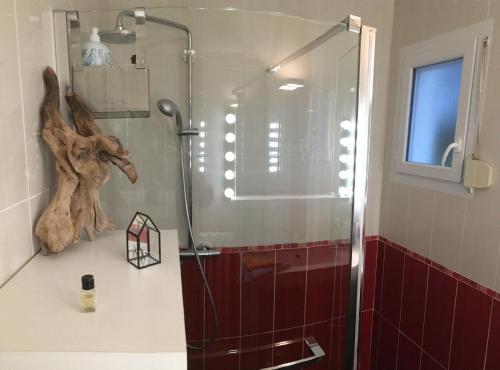 une douche avec une porte vitrée dans une salle de bain dans l'établissement COTTAGE des RIAS 2 chambres d'hôtes ou 1 suite à 172 m de la mer sans TV, à Kerfany-les-Pins