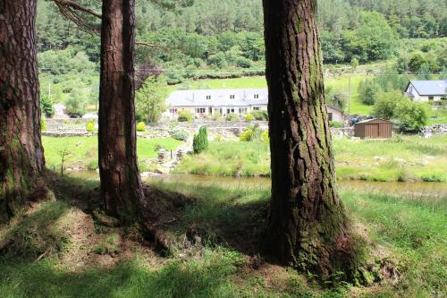 a group of trees in front of a body of water at Riversdale House room only accommodation, A98KD85 in Brockagh