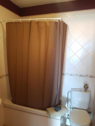 a bathroom with a shower curtain and a toilet at Apartamentos Las Salinas 2 in Caleta de Interián