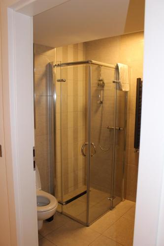 a bathroom with a shower and a toilet at Blossom lane in Woodford