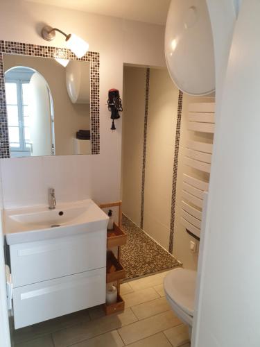 uma casa de banho com um lavatório, um WC e um espelho. em Le centre Fontainebleau em Fontainebleau