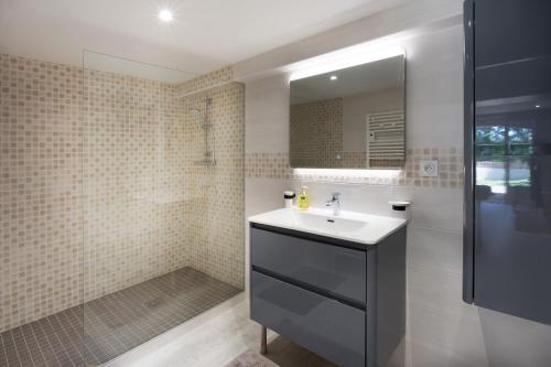 een badkamer met een wastafel en een douche bij LE PALMIER in Coulounieix-Chamiers
