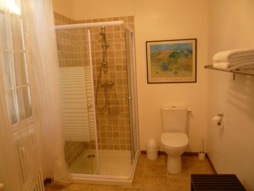 a bathroom with a shower and a toilet at Chez Edèll in Monpazier